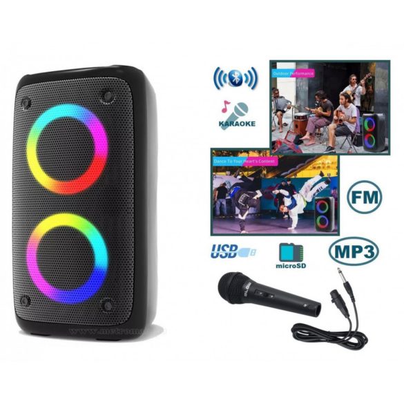 Hordozható USB/SD/MP3 lejátszó Bluetooth multimédia hangfal mikrofonnal AM2301BT-PRM205 