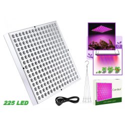 Növény nevelő piros-kék LED lámpa 225 LED-del M16347