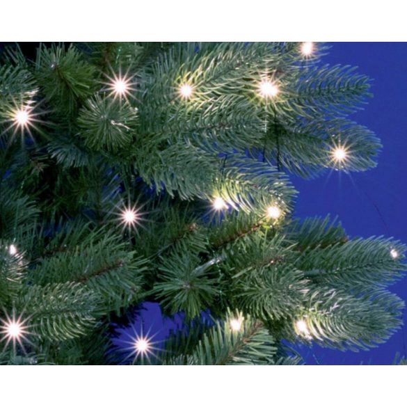 Karácsonyi kültéri micro LED égősor 10 ágú csokor Fényfüzér ML250GWH