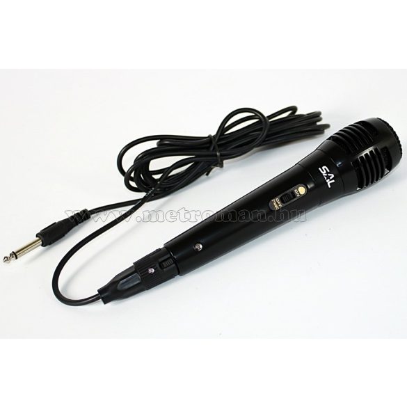 Hordozható karaoke szett USB MP3 Bluetooth zenelejátszóval PAR 20BT-M61