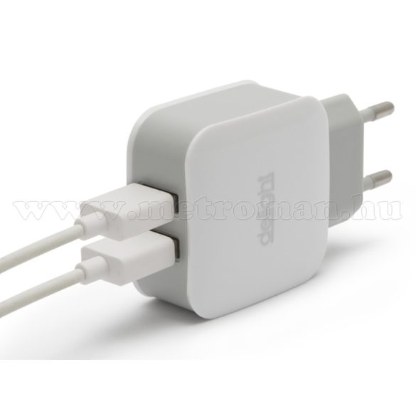 USB  töltő, hálózati adapter USB45-2WH